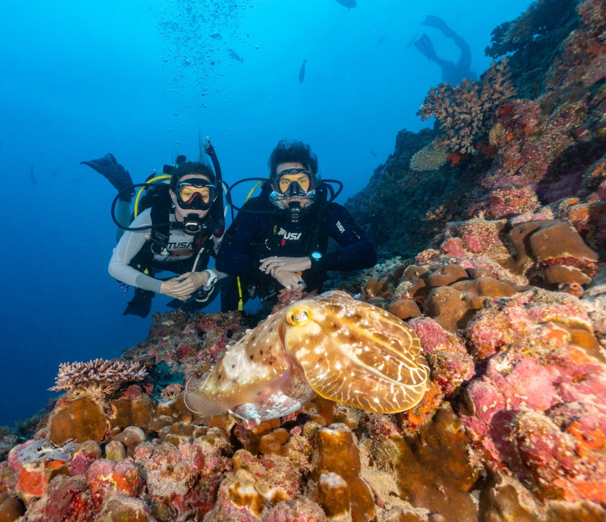 Tusa RS-681 Yoke Adjustable Regulator Package Scuba Diving 1st, 2nd Stage, Octo16