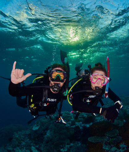 Tusa RS790 DIN Regulator Package Scuba Dive R700 1st Stage, S90 2nd, SS0001 Octo10