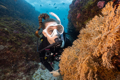 Tusa RS790 DIN Regulator Package Scuba Dive R700 1st Stage, S90 2nd, SS0001 Octo12