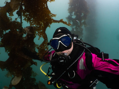 Tusa RS790 DIN Regulator Package Scuba Dive R700 1st Stage, S90 2nd, SS0001 Octo6