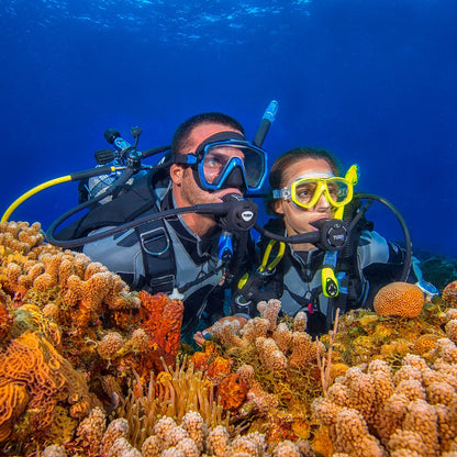 Tusa RS790 DIN Regulator Package Scuba Dive R700 1st Stage, S90 2nd, SS0001 Octo11