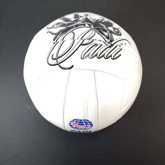 NEW PADI Logo Brand Scuba Diving Volleyball  Novelty One of a Kind     Vollyball